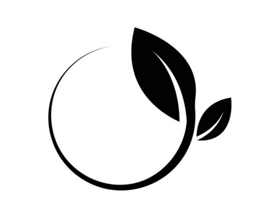 All Sports & Fitness